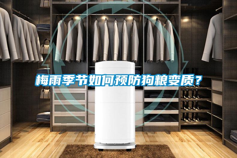 欧美黄色性爱视频网站 梅雨季节如何预防狗粮变质？