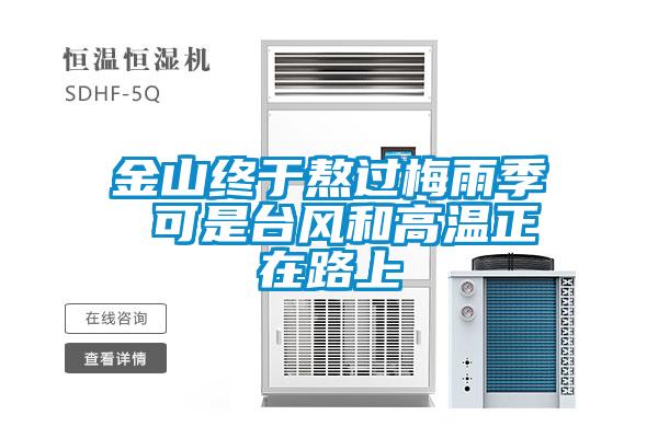欧美黄色性爱视频网站 金山终于熬过梅雨季 可是台风和高温正在路上