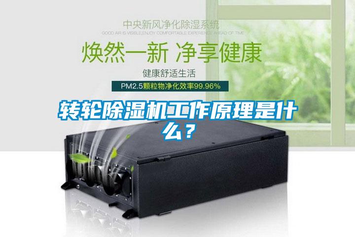 欧美黄色性爱视频网站 转轮除湿机工作原理是什么？