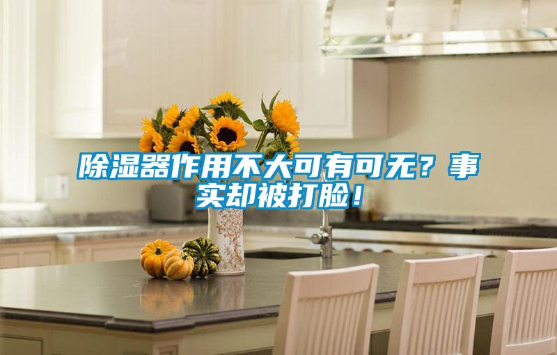 欧美黄色性爱视频网站 除湿器作用不大可有可无？事实却被打脸！