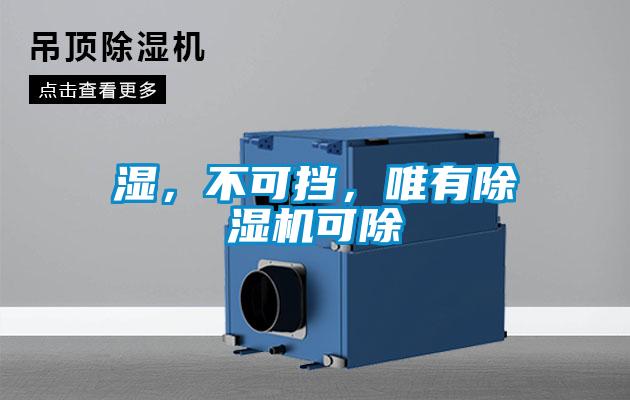 欧美黄色性爱视频网站 湿，不可挡，唯有除湿机可除