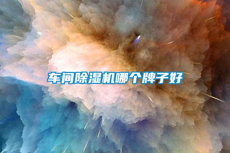 欧美黄色性爱视频网站 车间除湿机哪个牌子好