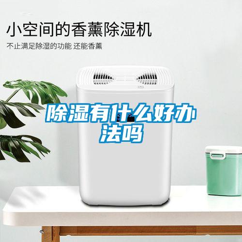 欧美黄色电影在线播放 除湿有什么好办法吗