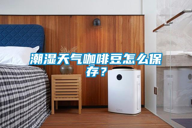 欧美黄色性爱视频网站 潮湿天气咖啡豆怎么保存？