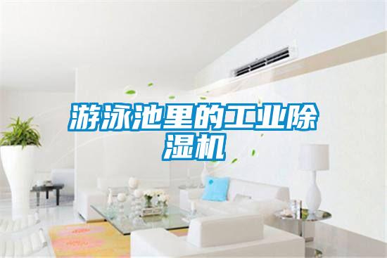 欧美成色手机在线观看 游泳池里的工业除湿机