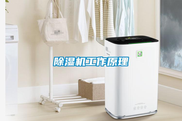 欧美成色手机在线观看 除湿机工作原理