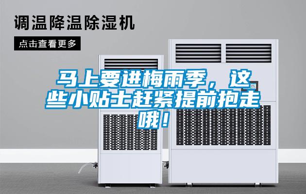 欧美成色手机在线观看 马上要进梅雨季，这些小贴士赶紧提前抱走哦！