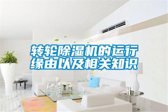 欧美成色手机在线观看 转轮除湿机的运行缘由以及相关知识