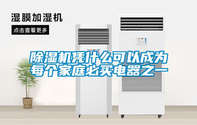 欧美成色手机在线观看 除湿机凭什么可以成为每个家庭必买电器之一