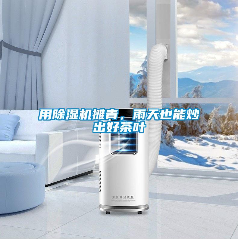 欧美成色手机在线观看 用除湿机摊青，雨天也能炒出好茶叶