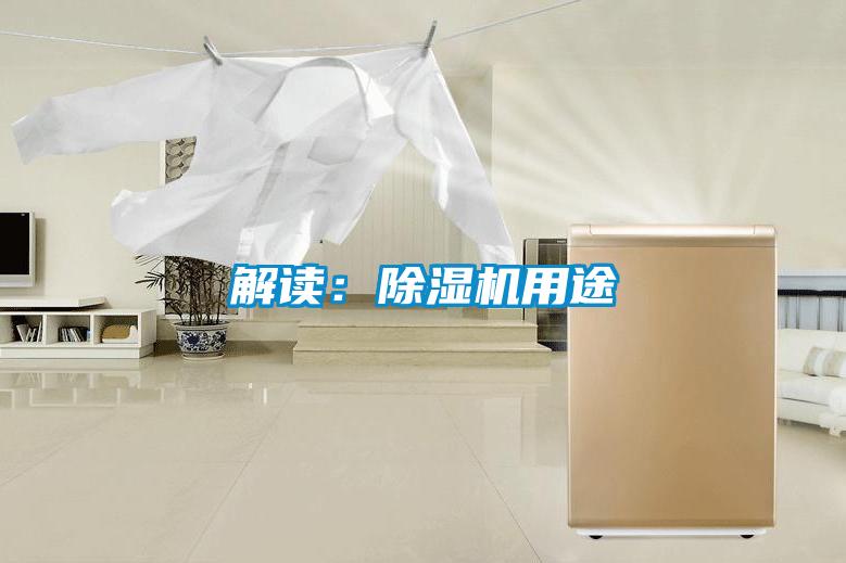 欧美成色手机在线观看 解读：除湿机用途