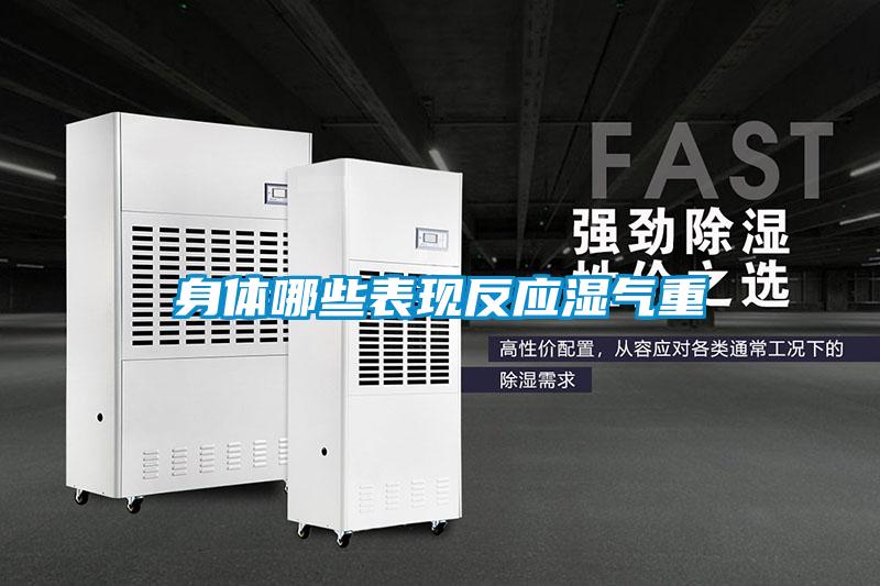 欧美黄色电影在线播放 身体哪些表现反应湿气重