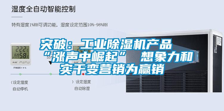 欧美黄色电影在线播放 突破：工业除湿机产品“涨声中崛起” 想象力和实干变营销为赢销