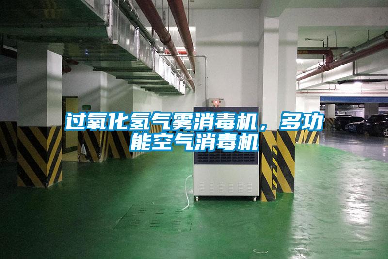 欧美黄色电影在线播放 过氧化氢气雾消毒机，多功能空气消毒机