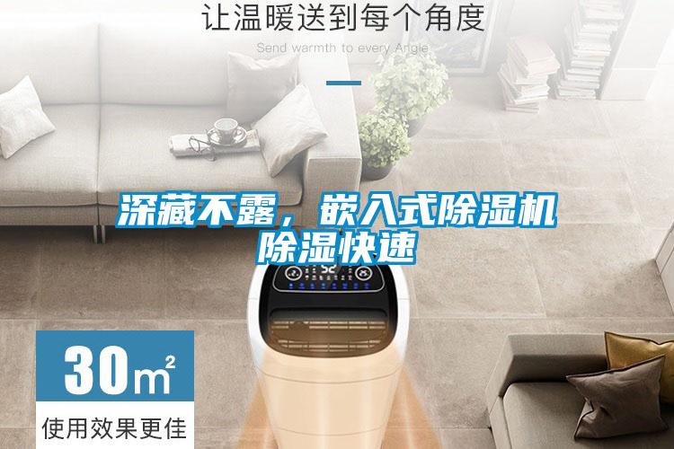 欧美成色手机在线观看 深藏不露，嵌入式除湿机除湿快速