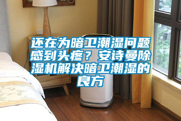 欧美黄色电影在线播放 还在为暗卫潮湿问题感到头疼？安诗曼除湿机解决暗卫潮湿的良方