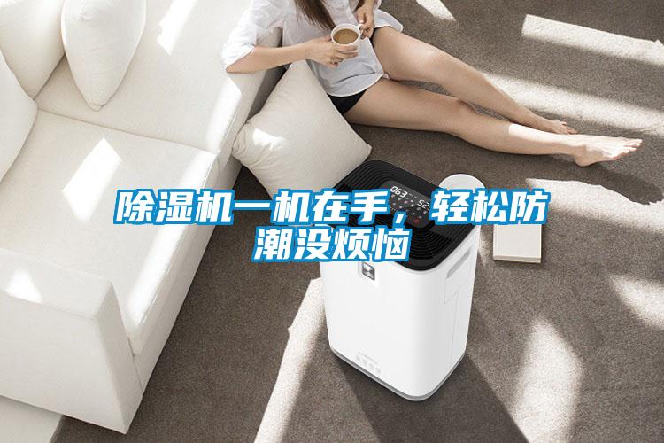 欧美成色手机在线观看 除湿机一机在手，轻松防潮没烦恼