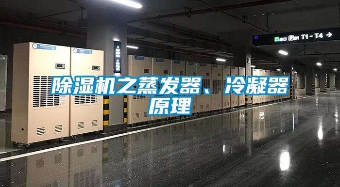 欧美成色手机在线观看 除湿机之蒸发器、冷凝器原理