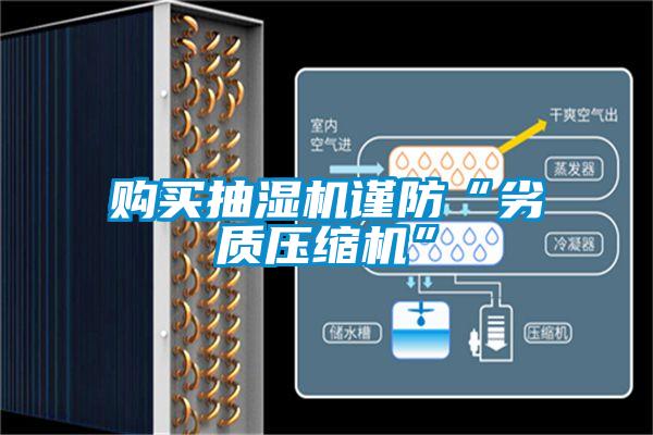 欧美黄色性爱视频网站 购买抽湿机谨防“劣质压缩机”