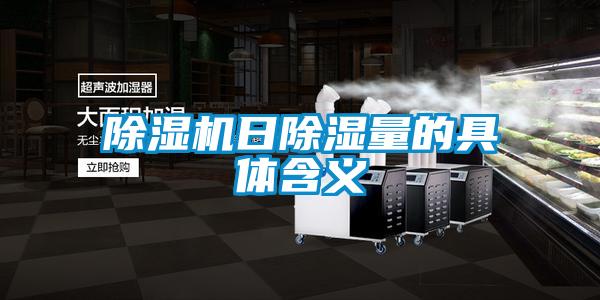 欧美黄色电影在线播放 除湿机日除湿量的具体含义