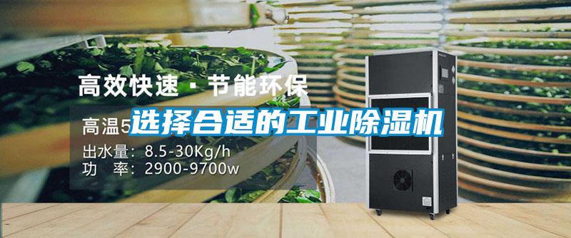 欧美黄色性爱视频网站 选择合适的工业除湿机