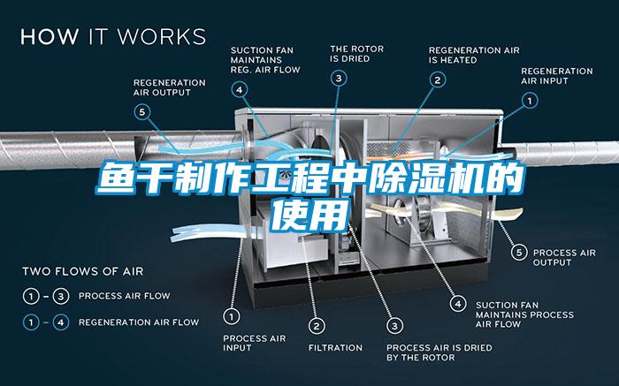 欧美黄色电影在线播放 鱼干制作工程中除湿机的使用