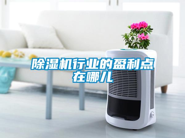 欧美黄色电影在线播放 除湿机行业的盈利点在哪儿