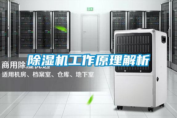 欧美黄色性爱视频网站 除湿机工作原理解析