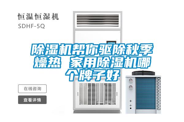 欧美黄色性爱视频网站 除湿机帮你驱除秋季燥热 家用除湿机哪个牌子好