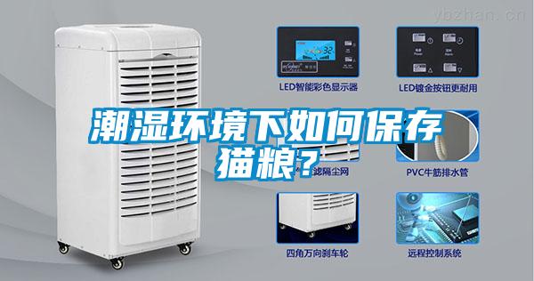 欧美黄色电影在线播放 潮湿环境下如何保存猫粮？