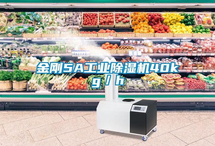 欧美黄色电影在线播放 金刚5A工业除湿机40kg／h