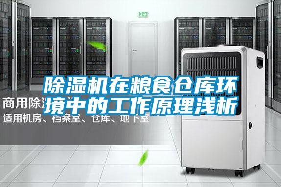 欧美黄色性爱视频网站 除湿机在粮食仓库环境中的工作原理浅析