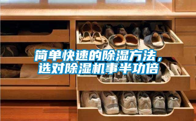 欧美黄色电影在线播放 简单快速的除湿方法，选对除湿机事半功倍