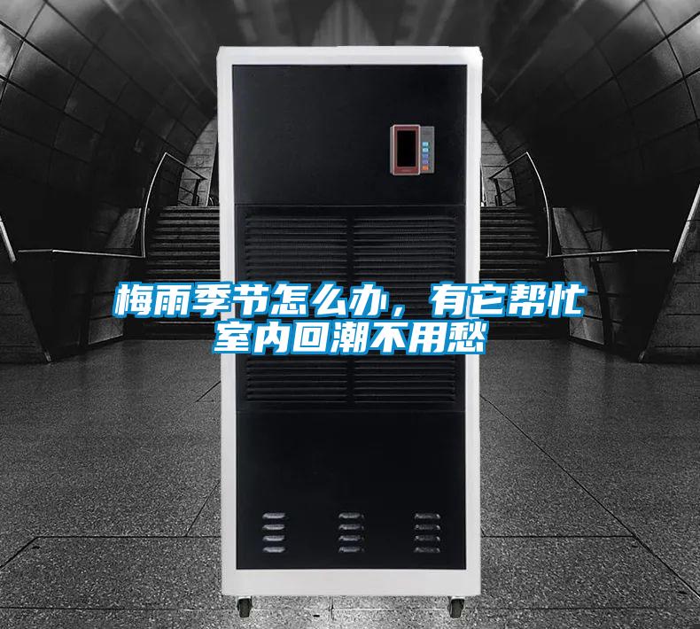 欧美成色手机在线观看 梅雨季节怎么办，有它帮忙室内回潮不用愁