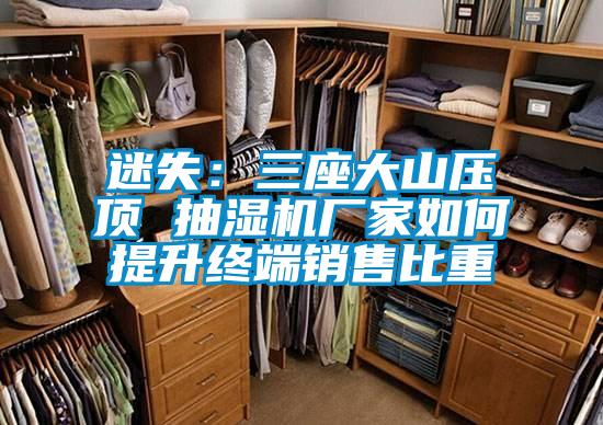 欧美黄色电影在线播放 迷失：三座大山压顶 抽湿机厂家如何提升终端销售比重