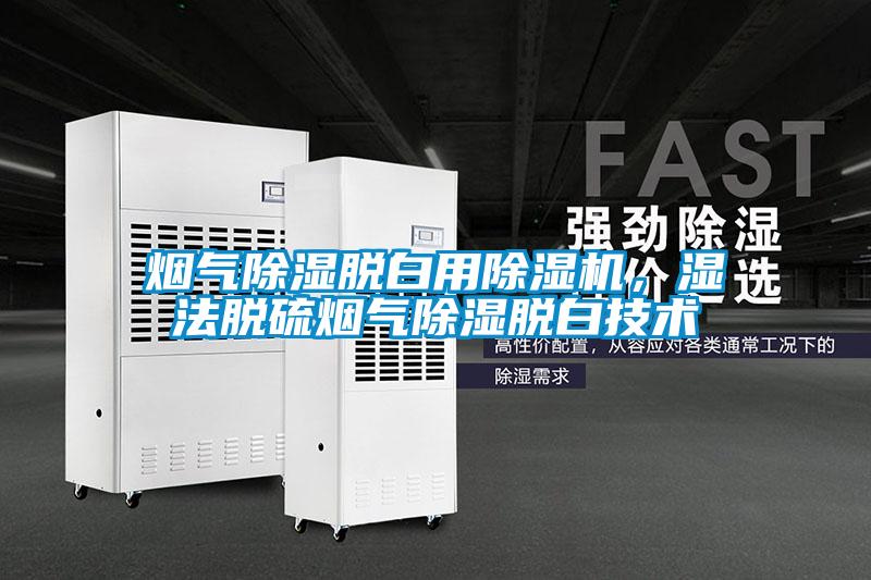 欧美黄色性爱视频网站 烟气除湿脱白用除湿机，湿法脱硫烟气除湿脱白技术