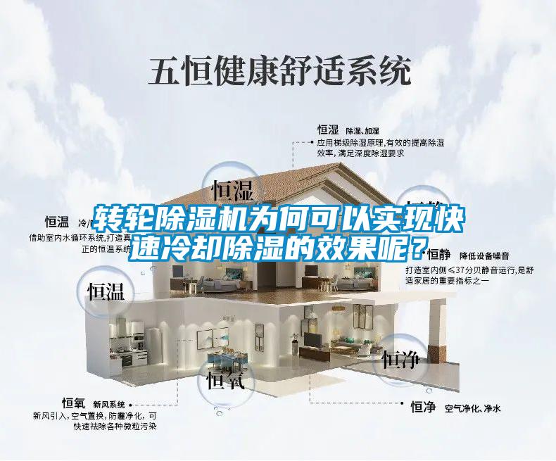 欧美黄色电影在线播放 转轮除湿机为何可以实现快速冷却除湿的效果呢？
