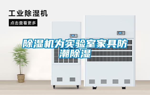 欧美成色手机在线观看 除湿机为实验室家具防潮除湿