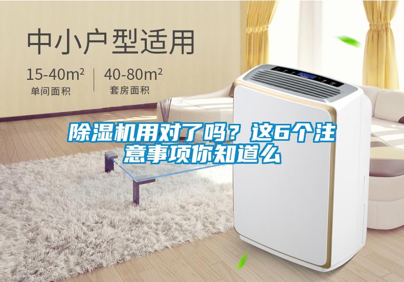 欧美成色手机在线观看 除湿机用对了吗？这6个注意事项你知道么