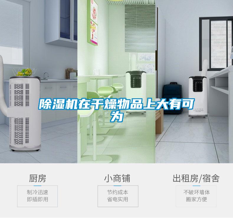 欧美黄色性爱视频网站 除湿机在干燥物品上大有可为