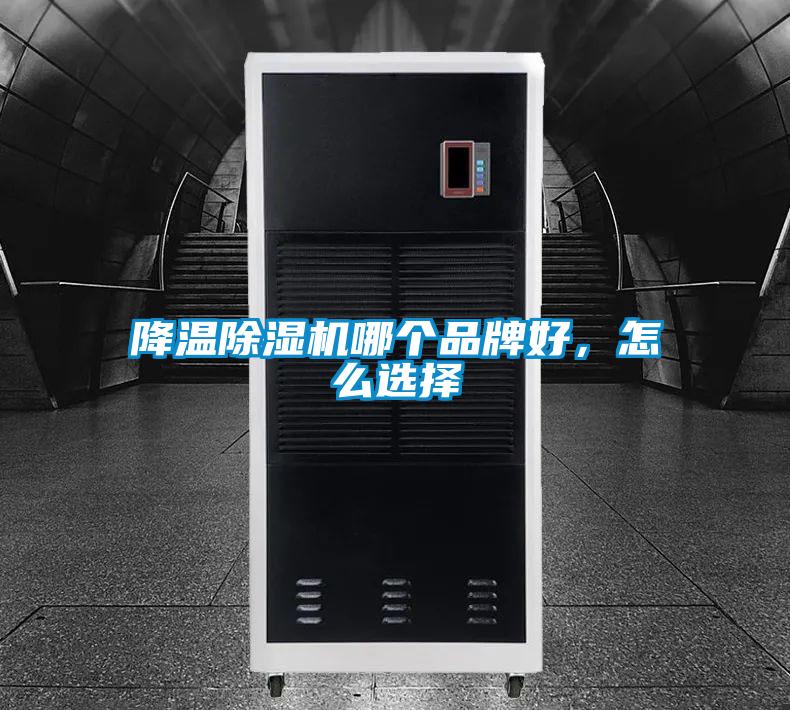 欧美黄色性爱视频网站 降温除湿机哪个品牌好，怎么选择