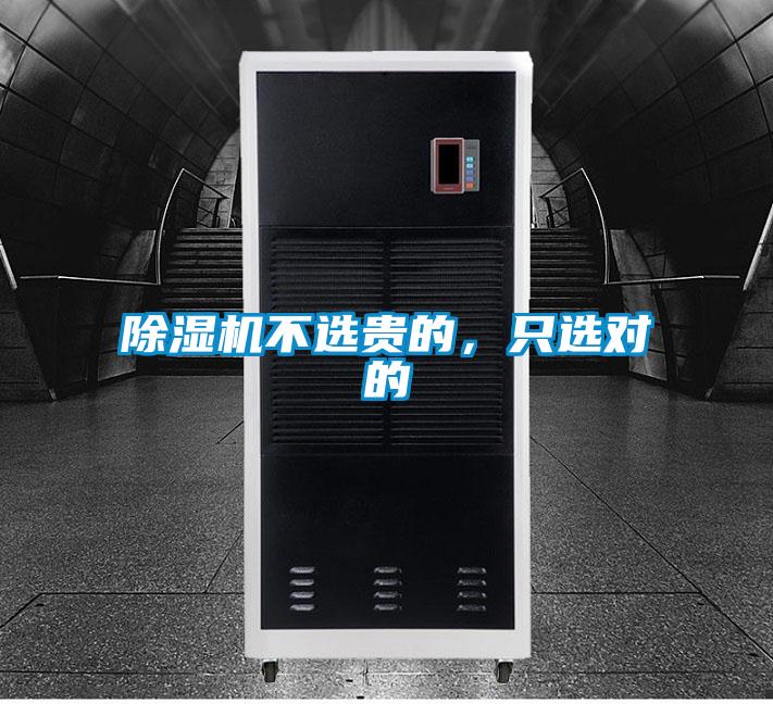 欧美成色手机在线观看 除湿机不选贵的，只选对的