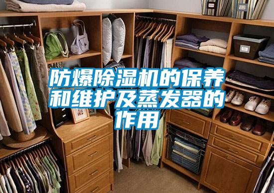 欧美成色手机在线观看 防爆除湿机的保养和维护及蒸发器的作用