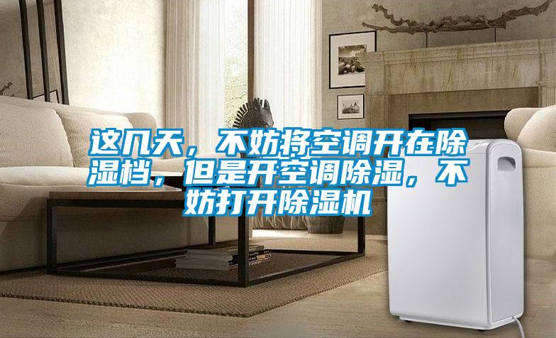 欧美黄色性爱视频网站 这几天，不妨将空调开在除湿档，但是开空调除湿，不妨打开除湿机