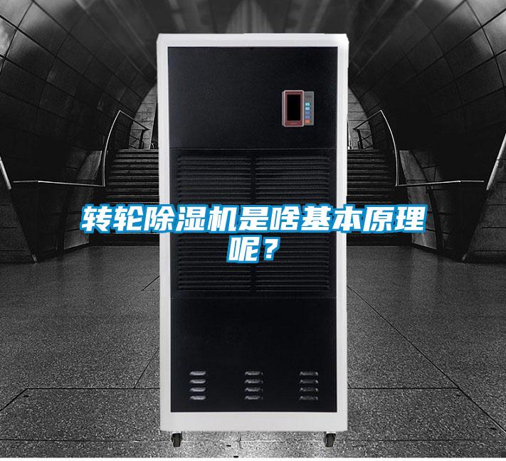 欧美黄色电影在线播放 转轮除湿机是啥基本原理呢？
