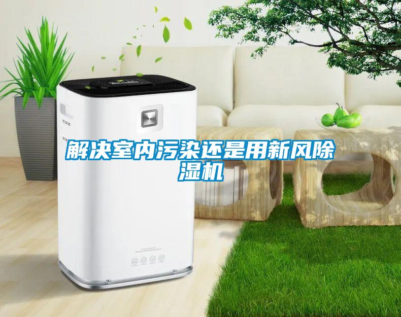 欧美黄色性爱视频网站 解决室内污染还是用新风除湿机