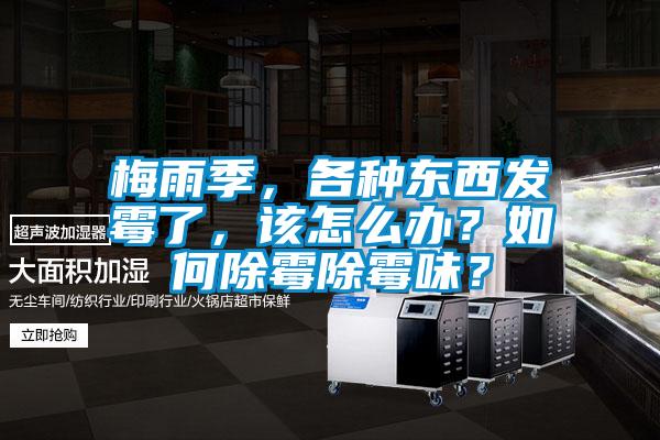欧美黄色电影在线播放 梅雨季，各种东西发霉了，该怎么办？如何除霉除霉味？