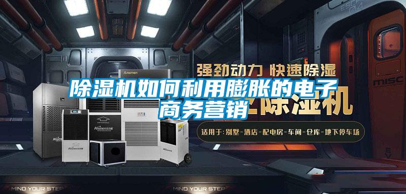 欧美成色手机在线观看 除湿机如何利用膨胀的电子商务营销