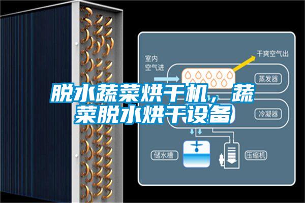 欧美成色手机在线观看 脱水蔬菜烘干机，蔬菜脱水烘干设备