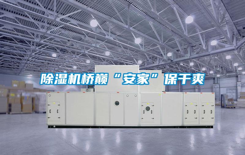 欧美黄色性爱视频网站 除湿机桥巅“安家”保干爽